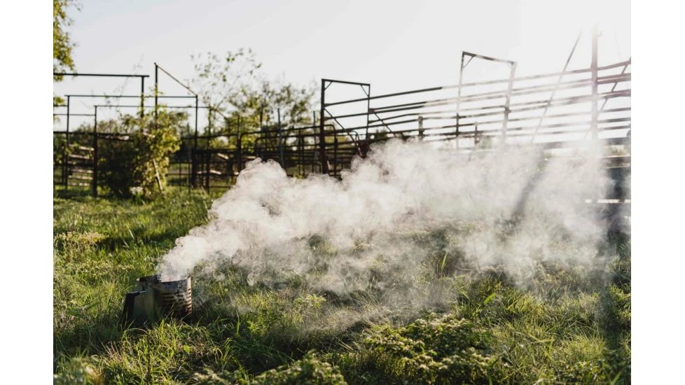 Nomad Grills Fire Natural Charcoal 10lb Box 8 Nomad Grills Fire Natural Charcoal 10lb Box - Image 6